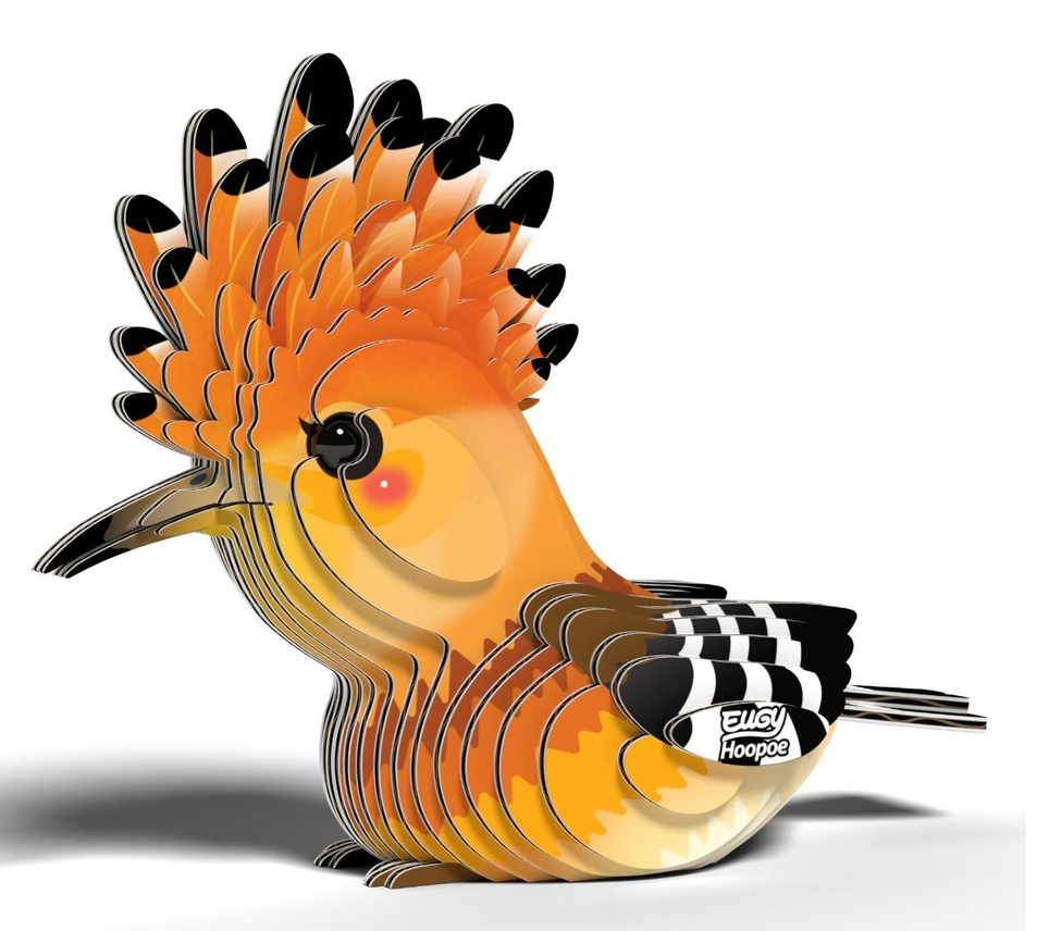 EUGY HOOPOE