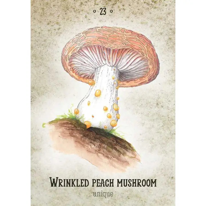 MUSHROOM SPIRIT ORACLE