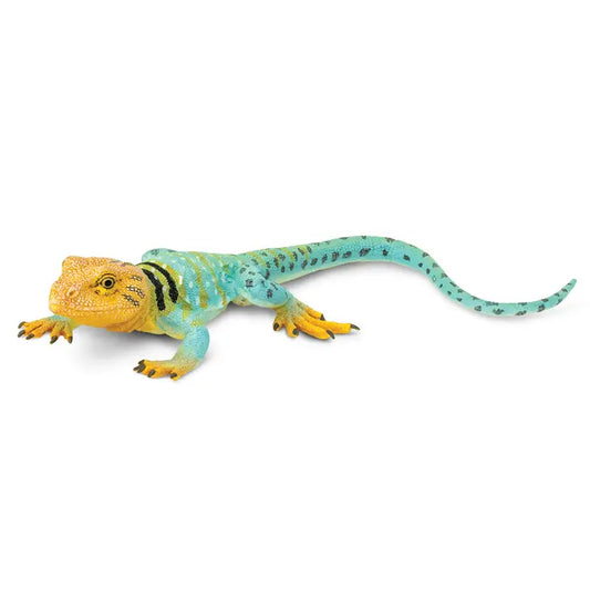 COLLARED LIZARD