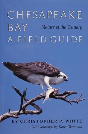 CHESAPEAKE BAY: NATURE OF ESTUARY A FIELD GUIDE BY CHRISTOPHER P. WHITE