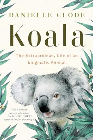 KOALA: THE EXTRAORDINARY LIFE OF AN EGNIGMATIC ANIMAL BY DANIELLE CLODE