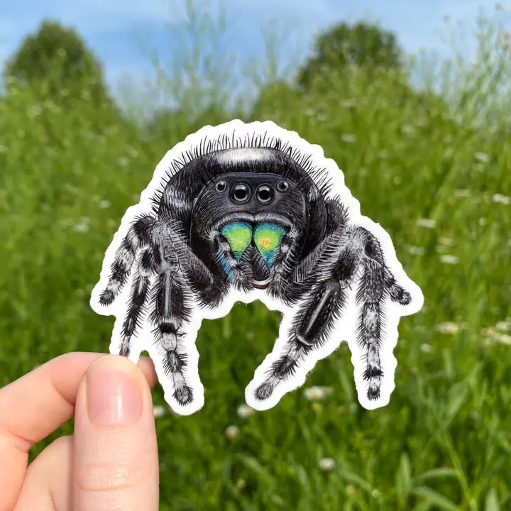 SPOODER FRIEND JUMPING SPIDER STICKER