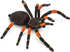 ORANGE KNEED TARANTULA