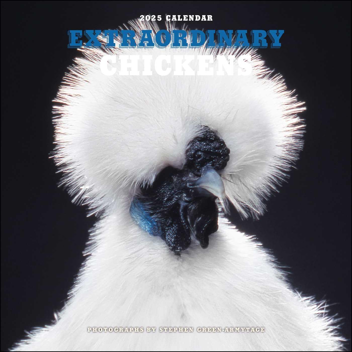 EXTRAORDINARY CHICKENS CALENDAR 2025