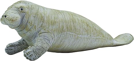 MANATEE