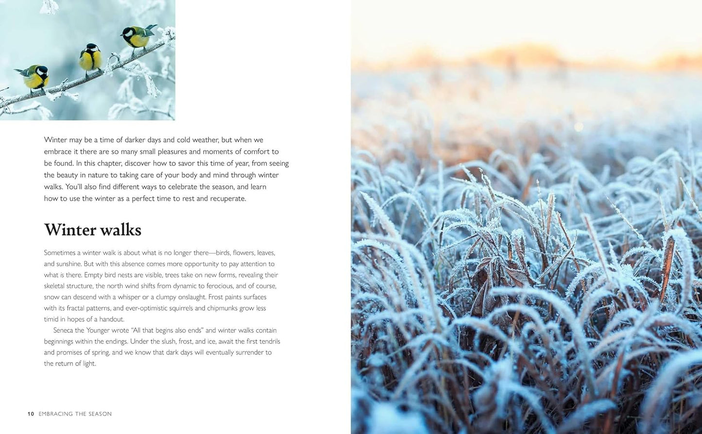 WINTER WELLBEING: SEASONAL SELF-CARE TO NOURISH, SUSTAIN, AND WARM YOUR SOUL