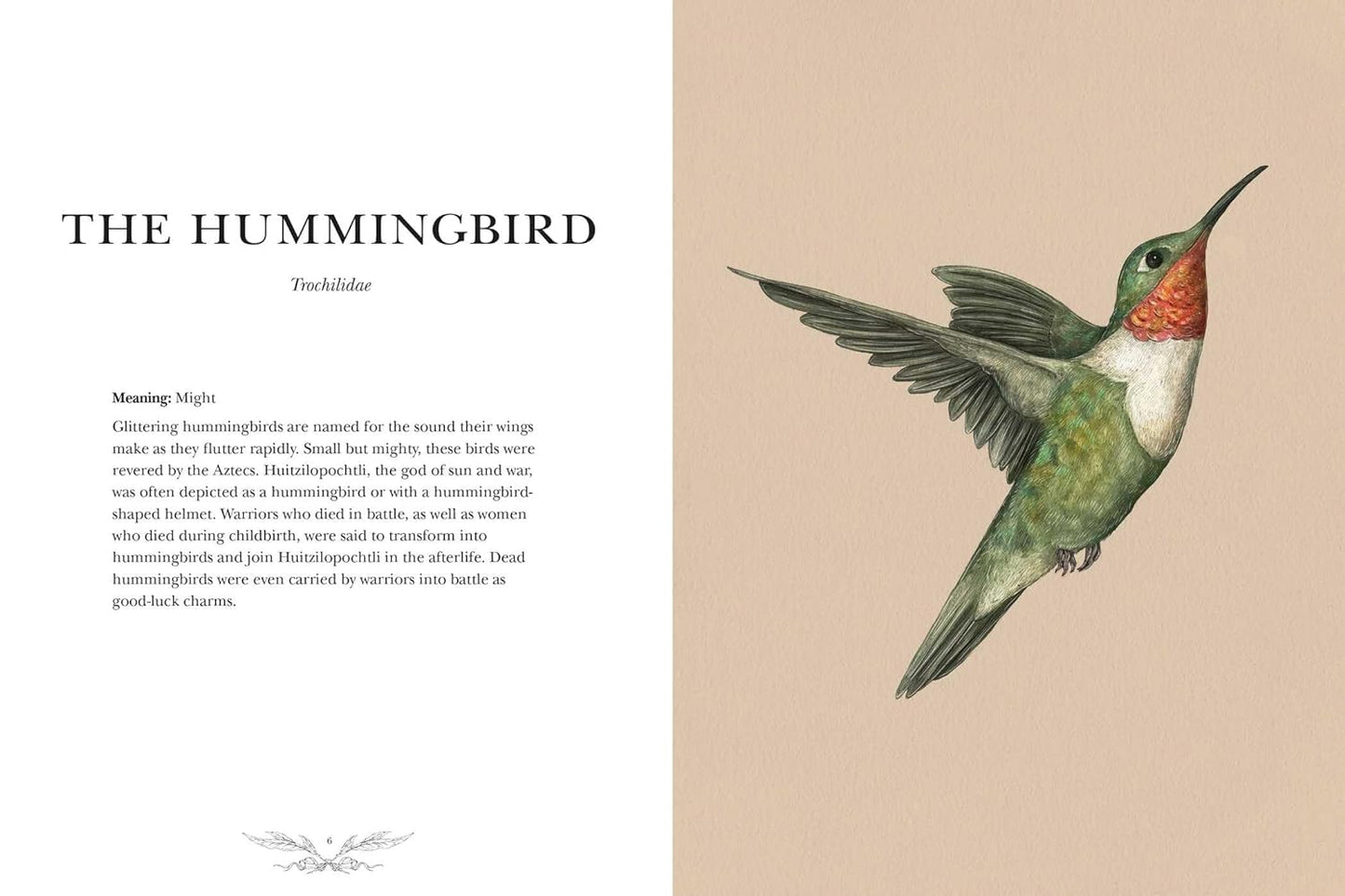 ORNITHOGRAPHY: AN ILLUSTRATED GUIDE TO BIRD LORE AND SYMBOLISM BY JESSICA ROUX