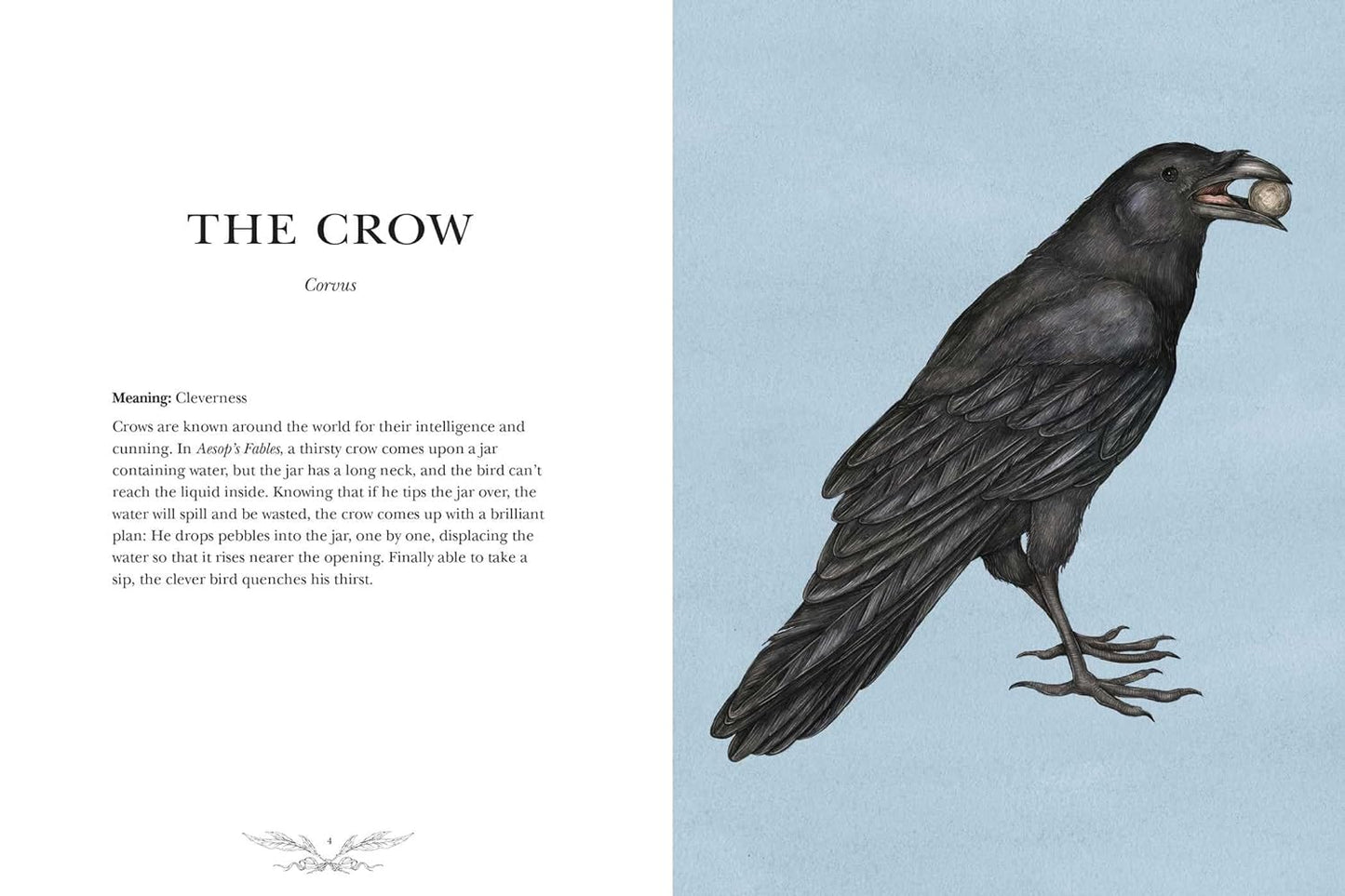 ORNITHOGRAPHY: AN ILLUSTRATED GUIDE TO BIRD LORE AND SYMBOLISM BY JESSICA ROUX