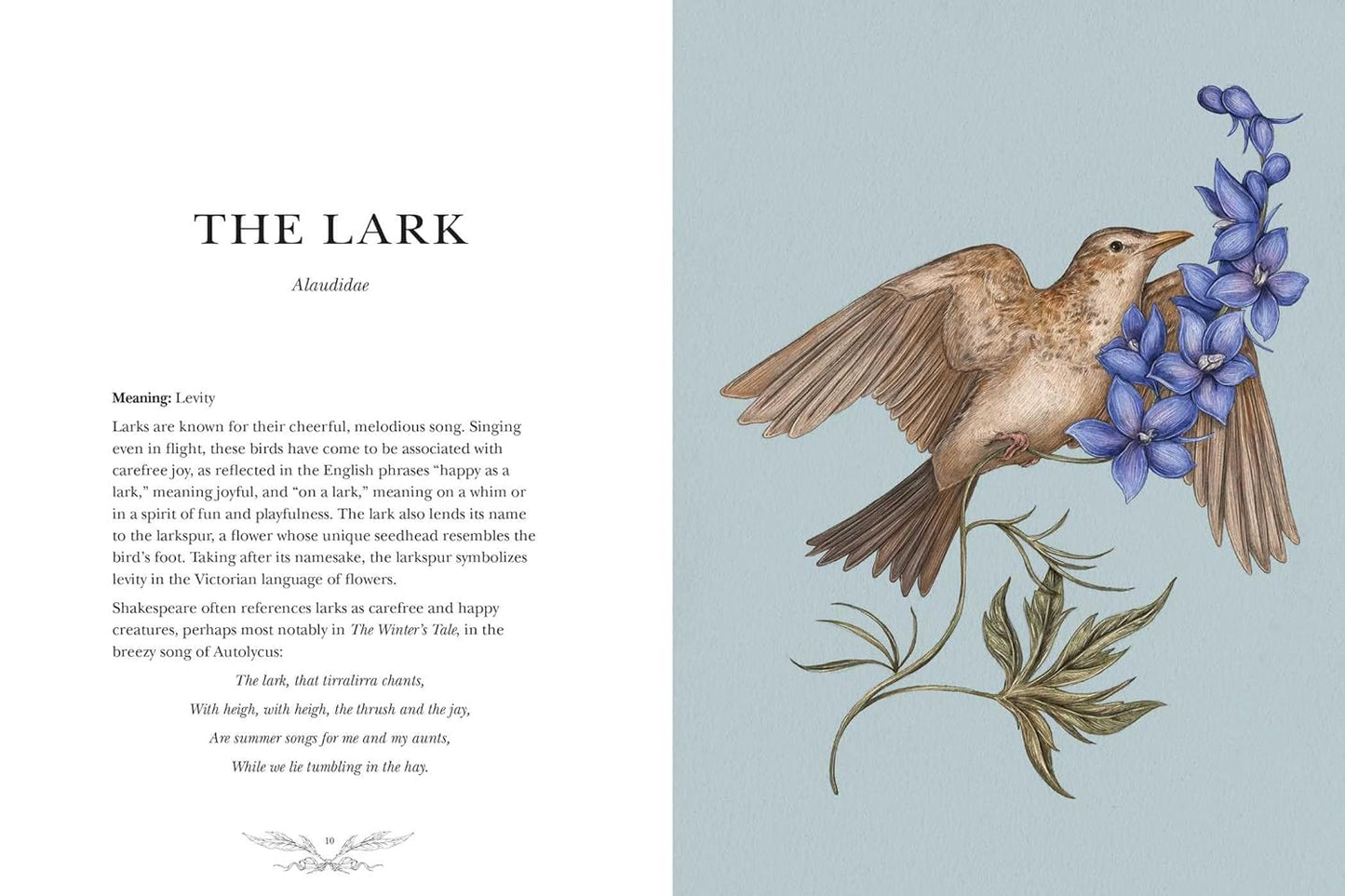 ORNITHOGRAPHY: AN ILLUSTRATED GUIDE TO BIRD LORE AND SYMBOLISM BY JESSICA ROUX