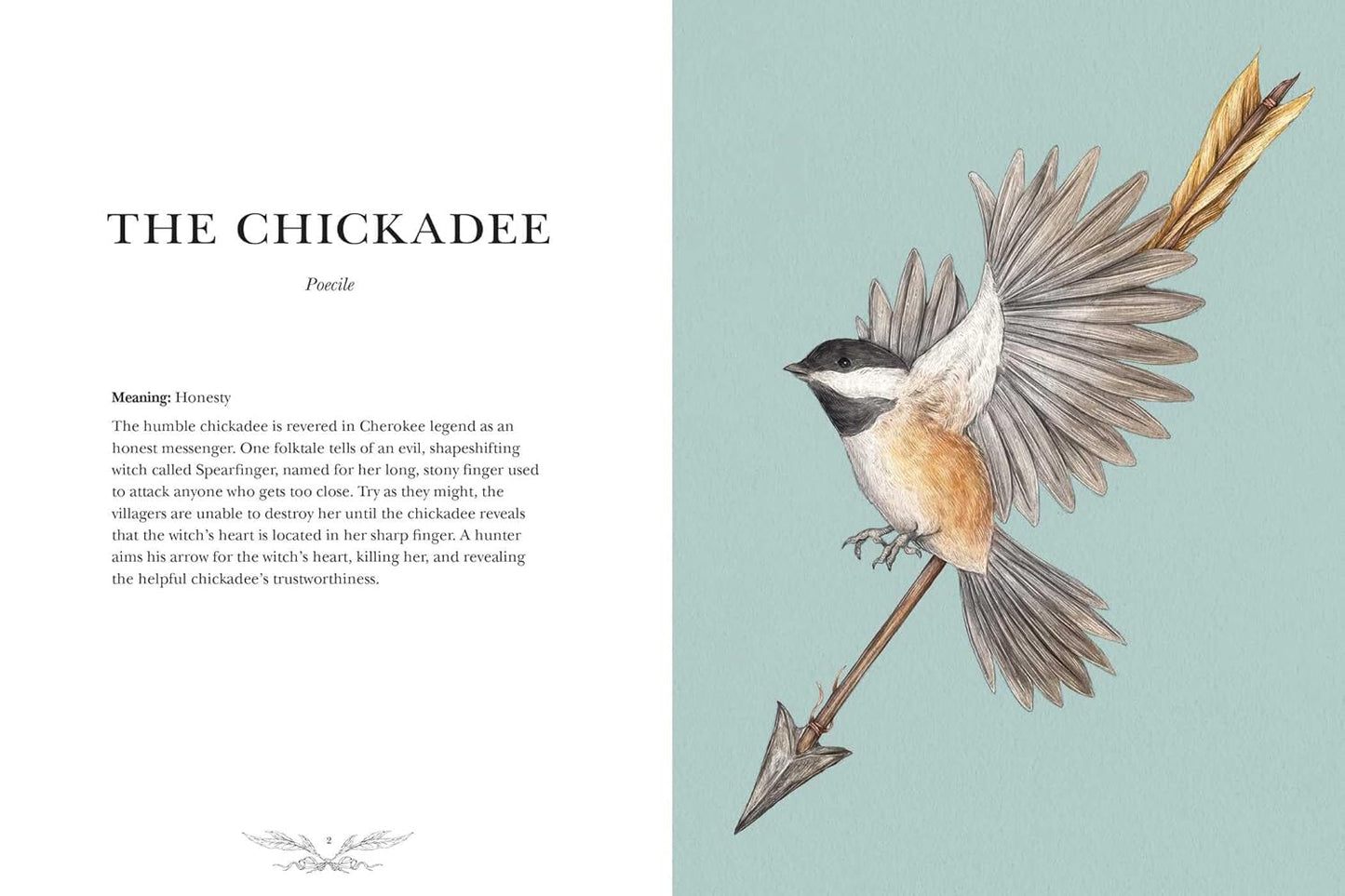 ORNITHOGRAPHY: AN ILLUSTRATED GUIDE TO BIRD LORE AND SYMBOLISM BY JESSICA ROUX