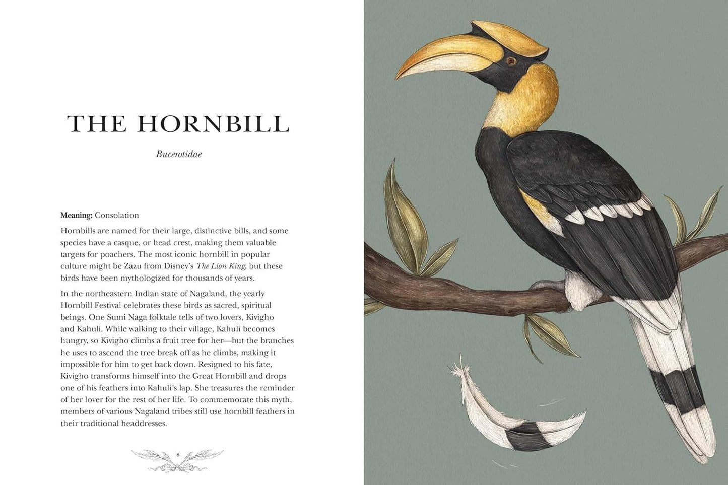 ORNITHOGRAPHY: AN ILLUSTRATED GUIDE TO BIRD LORE AND SYMBOLISM BY JESSICA ROUX