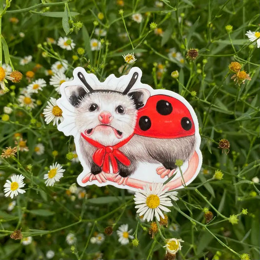 LADYBUG OPOSSUM STICKER