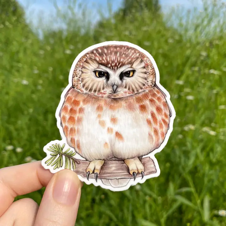 GRUMPY OWL STICKER