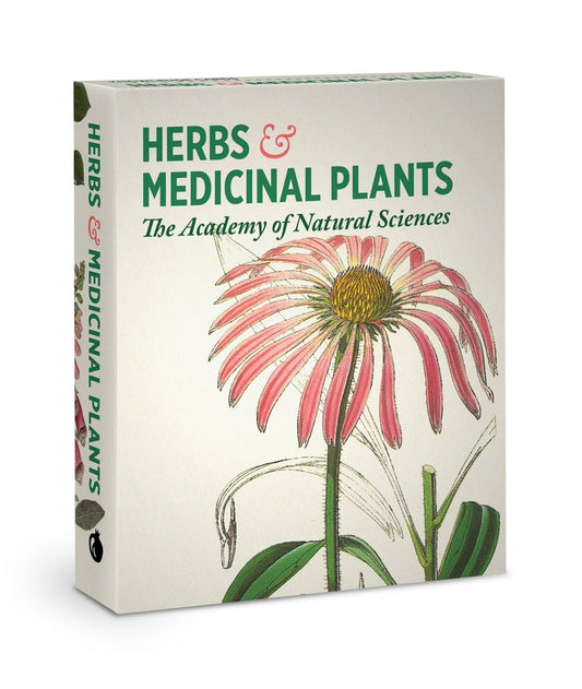 HERBS AND MEDICINAL PLANTS KNOWLEDGE CARDS