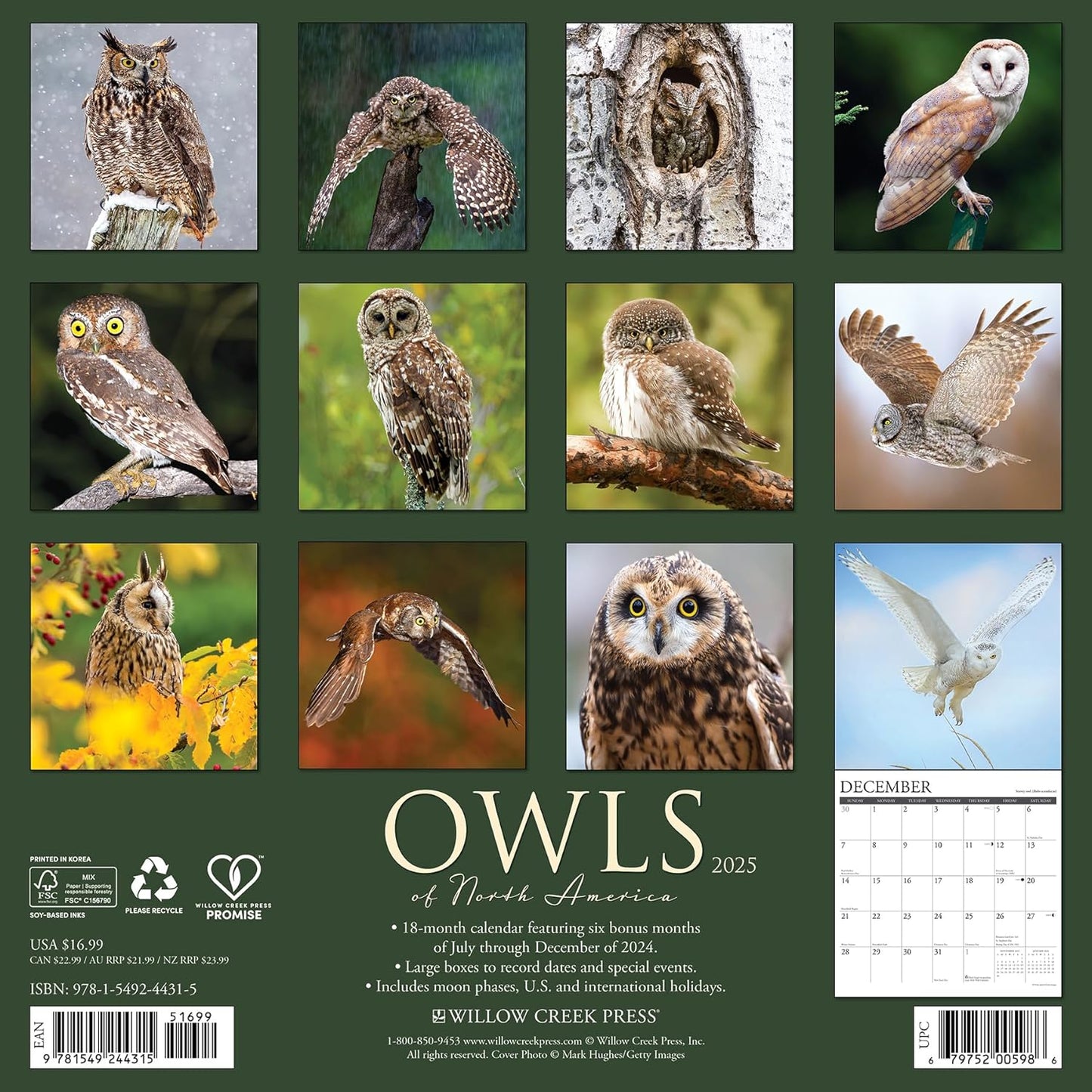 OWLS OF NORTH AMERICA CALENDAR 2025