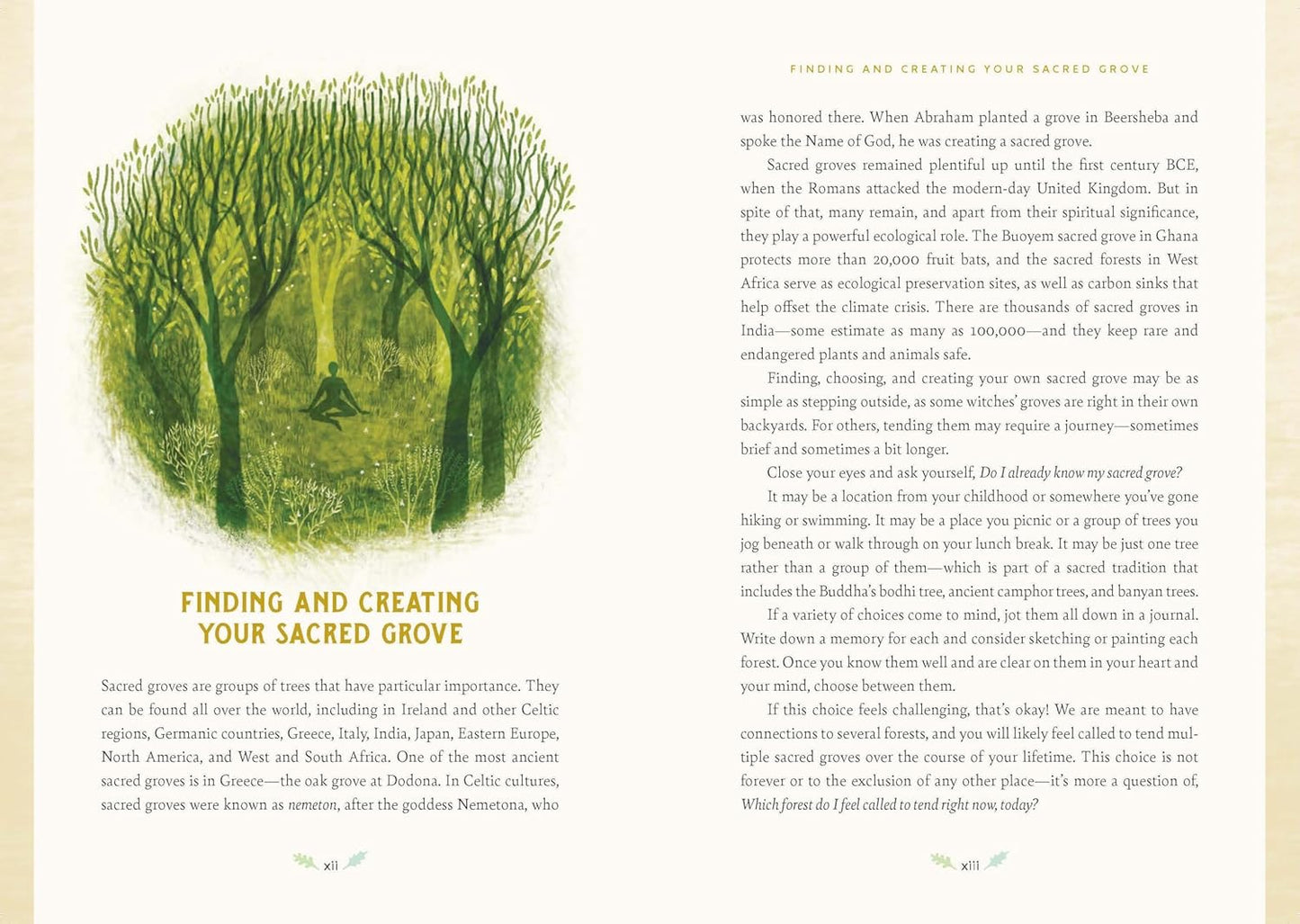 FOREST MAGIC: RITUALS AND SPELLS FOR THE GREEN WITCH BY NIKKI DE CAR