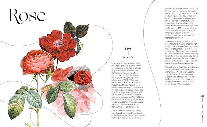 FLOWERS AND THEIR MEANINGS: THE SECRET LANGUAGE AND HISTORY OF OVER 600 BLOOMS BY KAREN AZOULAY