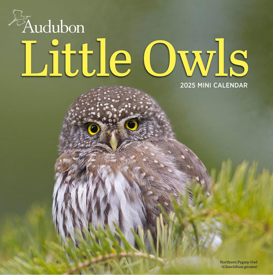 AUDUBON LITTLE OWLS MINI CALENDAR 2025