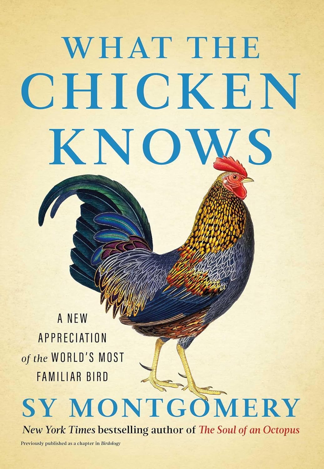 WHAT THE CHICKEN KNOWS BY SY MONTGOMERY