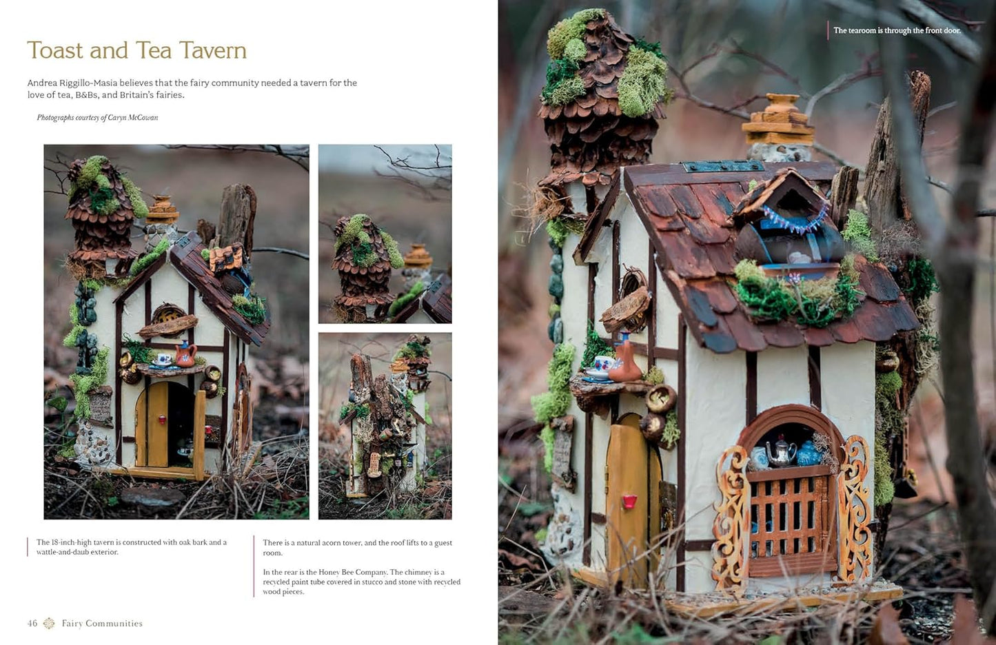 MAGICAL FAIRY HOMES AND GARDENS BY BARBARA PURCHIA AND E. ASHLEY ROONEY