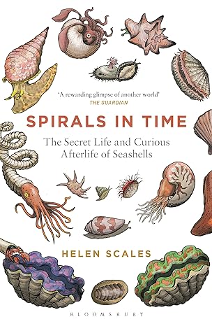 SPIRALS IN TIME: THE SECRET LIFE AND CURIOUS AFTERLIFE OF SEASHELLS BY HELEN SCALES