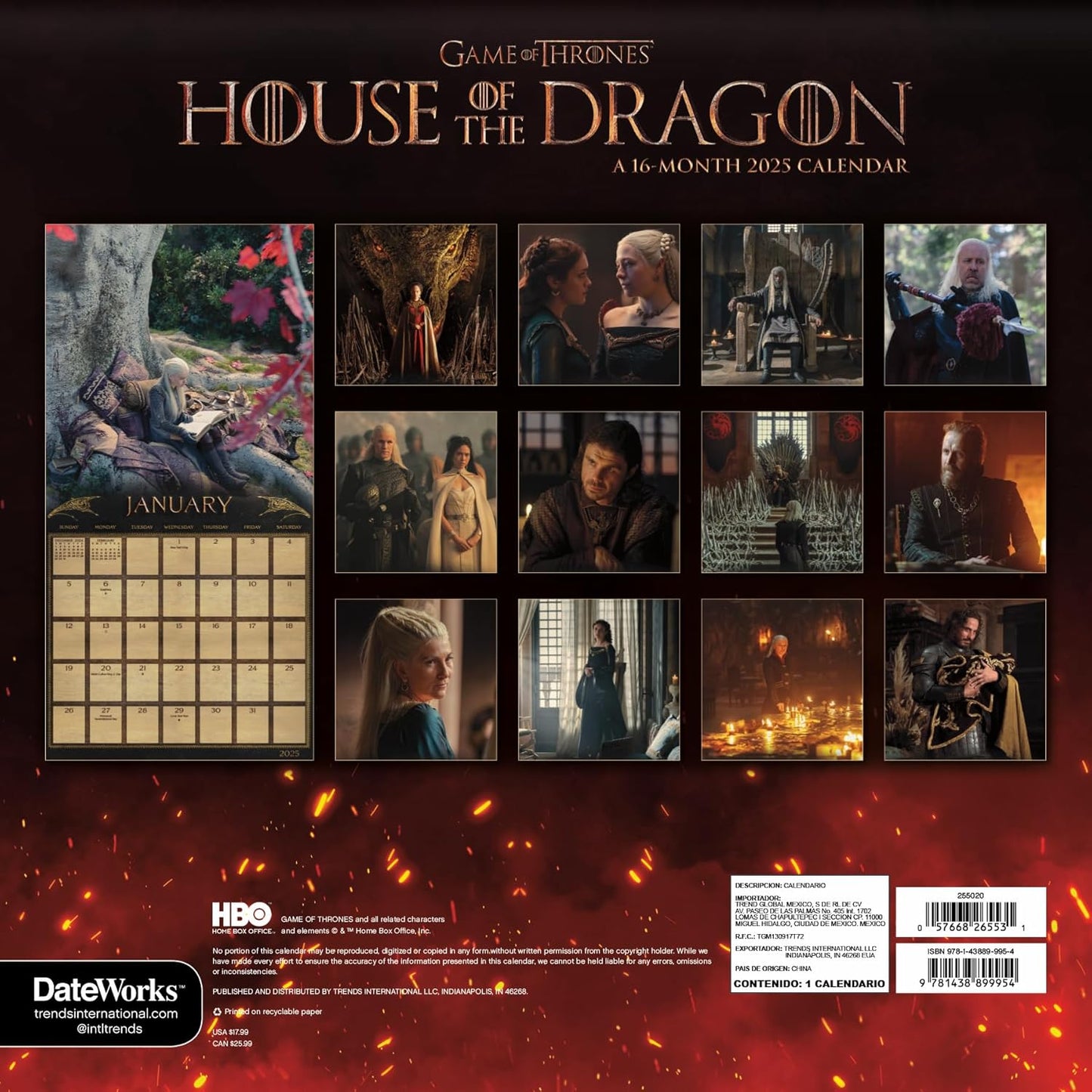 HOUSE OF THE DRAGON CALENDAR 2025