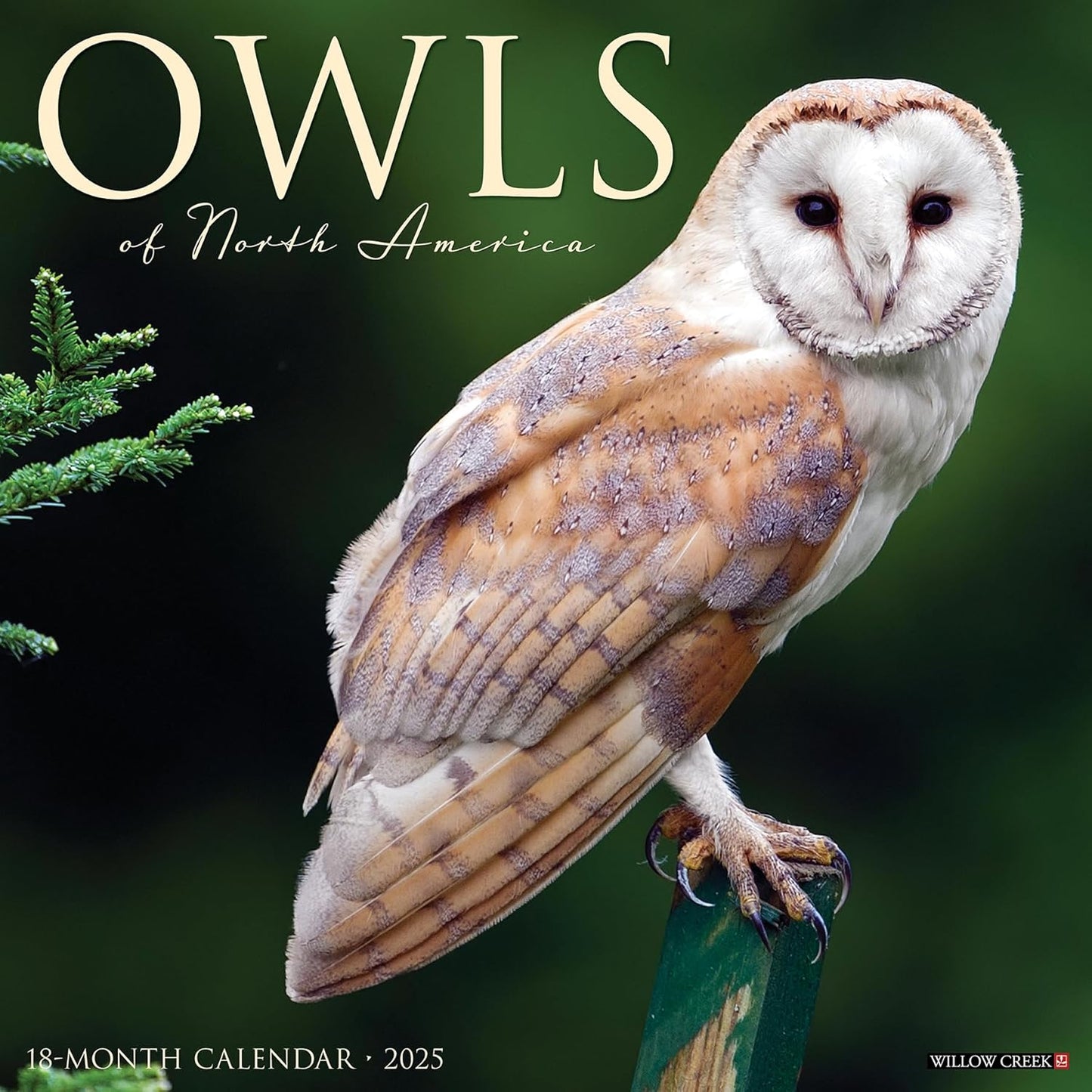 OWLS OF NORTH AMERICA CALENDAR 2025