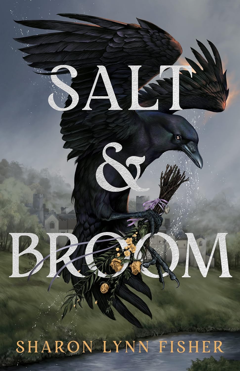 SALT AND BROOM BY SHARON LYNN FISHER