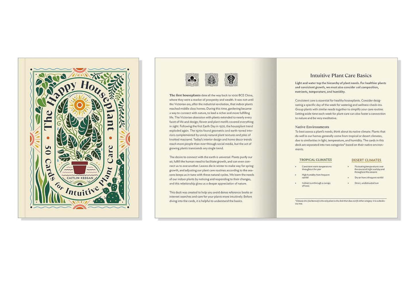 THE HAPPY HOUSEPLANT: 50 CARDS FOR INTUITIVE PLANT CARE