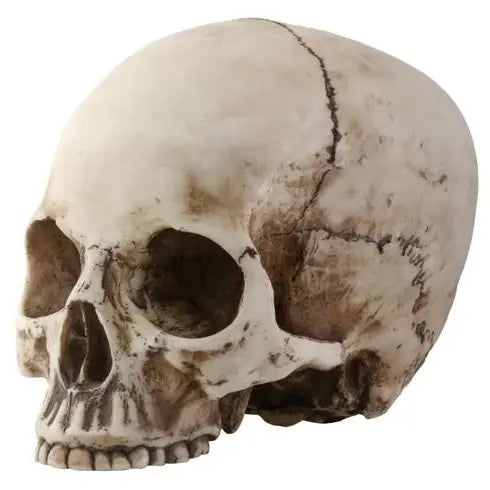 SKULL STATUE