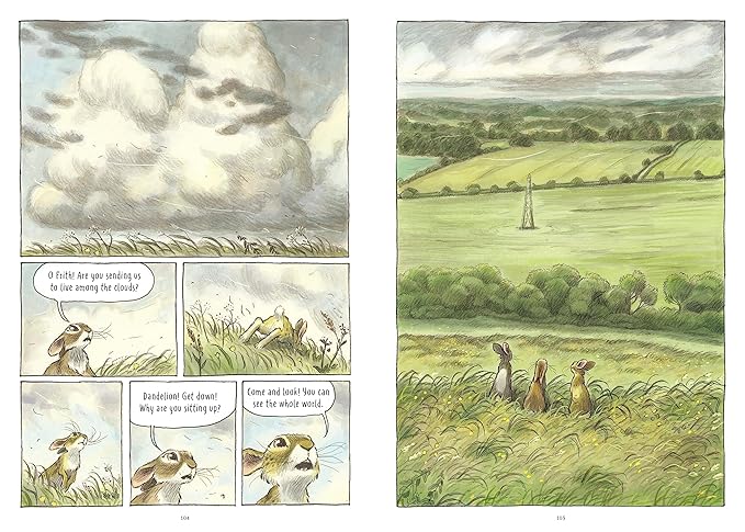 WATERSHIP DOWN BY RICHARD ADAMS (GRAPHIC NOVEL) ADAPTED AND ILLUSTRATED BY JAMES STURM ANDJOE SUTPHIN