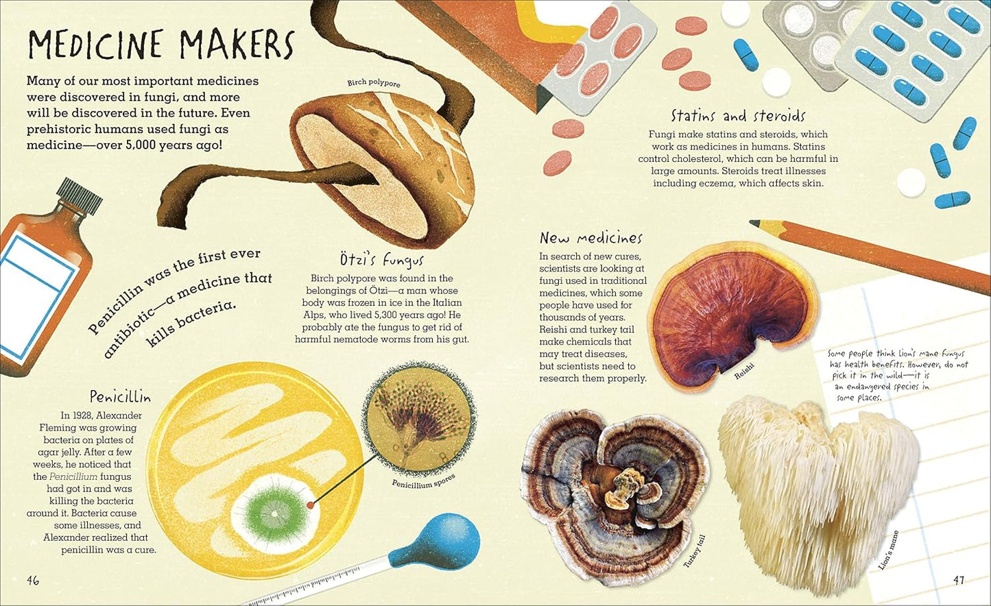 THE HUMONGOUS FUNGUS BY LYNNE BODDY AND ILLUSTRATED BY WENJIA TANG