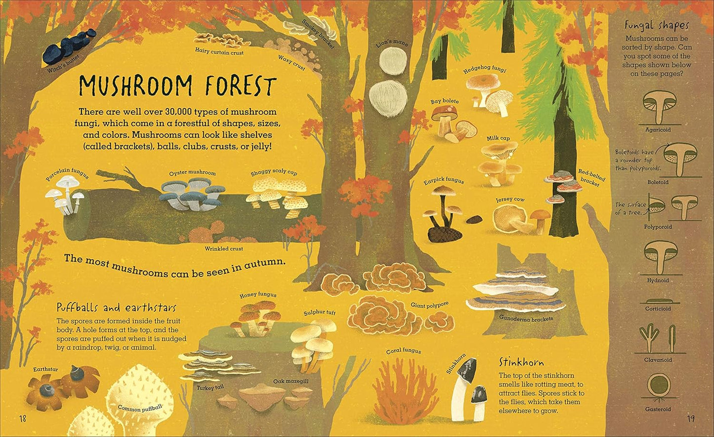 THE HUMONGOUS FUNGUS BY LYNNE BODDY AND ILLUSTRATED BY WENJIA TANG