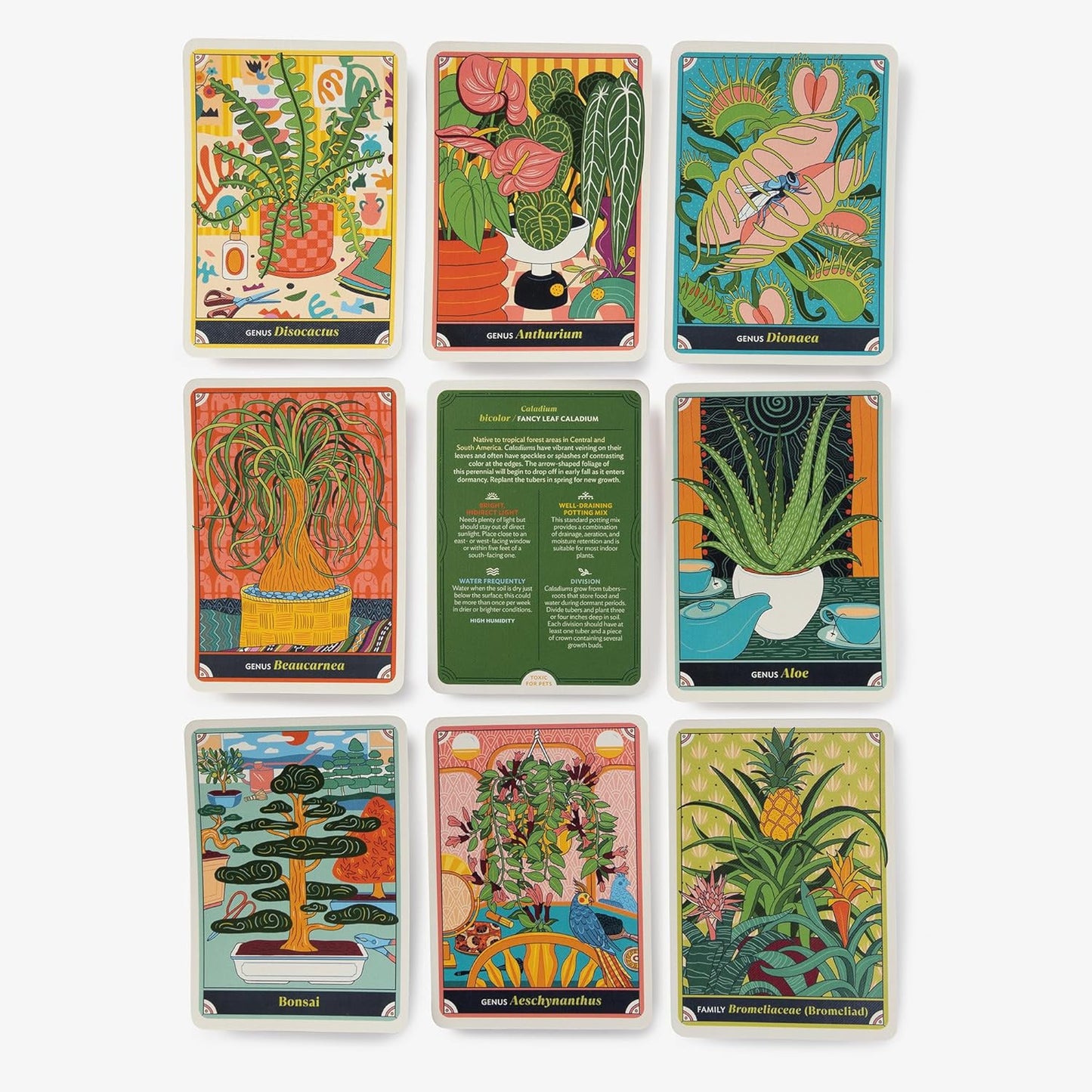 THE HAPPY HOUSEPLANT: 50 CARDS FOR INTUITIVE PLANT CARE