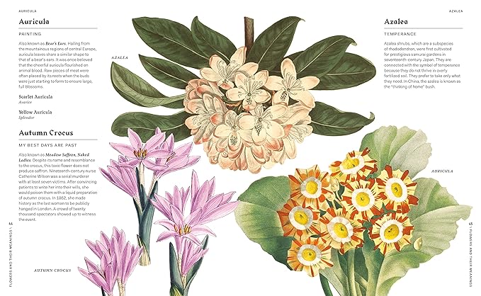 FLOWERS AND THEIR MEANINGS: THE SECRET LANGUAGE AND HISTORY OF OVER 600 BLOOMS BY KAREN AZOULAY