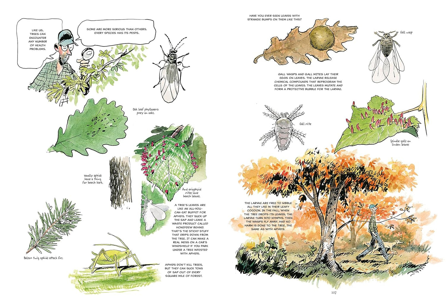 THE HIDDEN LIFE OF TREES: A GRAPHIC ADAPTION BY PETER WOHLLEBEN, FRED BERNARD, & BENJAMIN FLAO