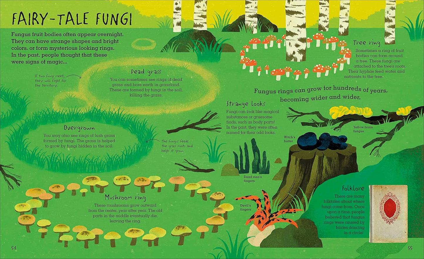 THE HUMONGOUS FUNGUS BY LYNNE BODDY AND ILLUSTRATED BY WENJIA TANG