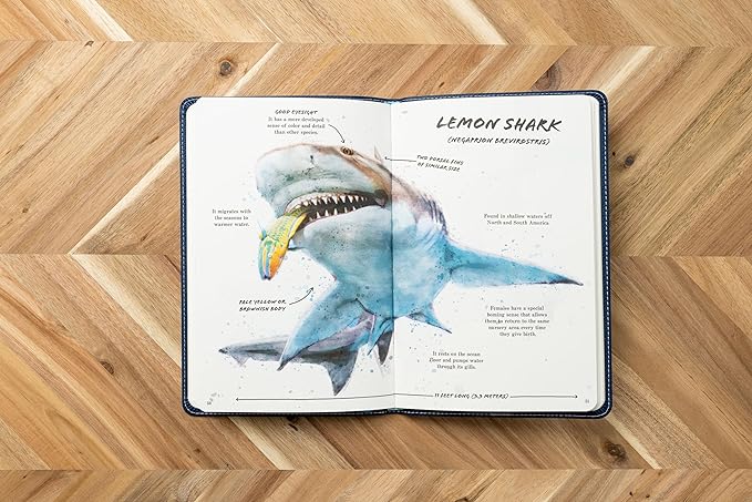 THE ULTIMATE SHARK FIELD GUIDE