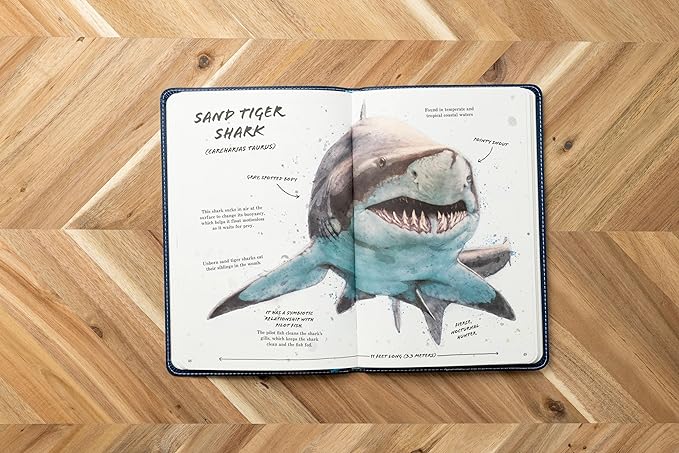 THE ULTIMATE SHARK FIELD GUIDE