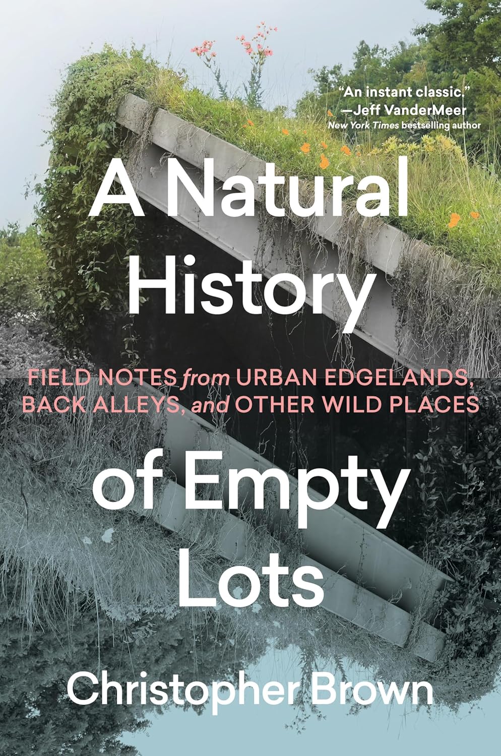 A NATURAL HISTORY OF EMPTY LOTS BY CHRISTOPHER BROWN