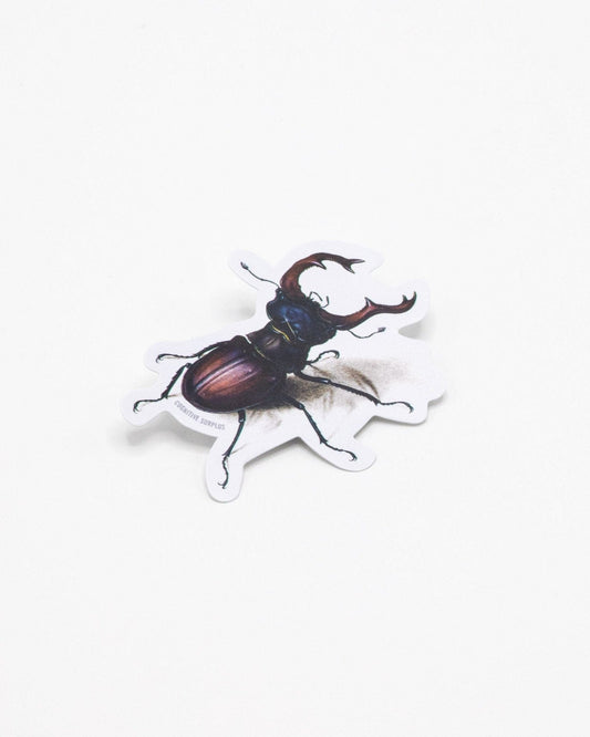 STAG BEETLE STICKER