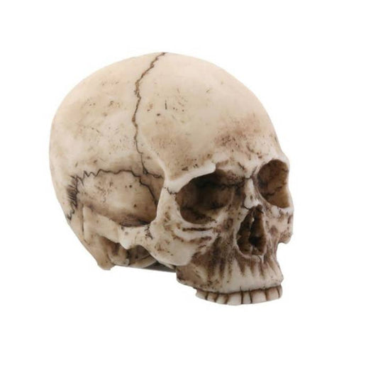 WEE SMALL SKULL STATUETTE