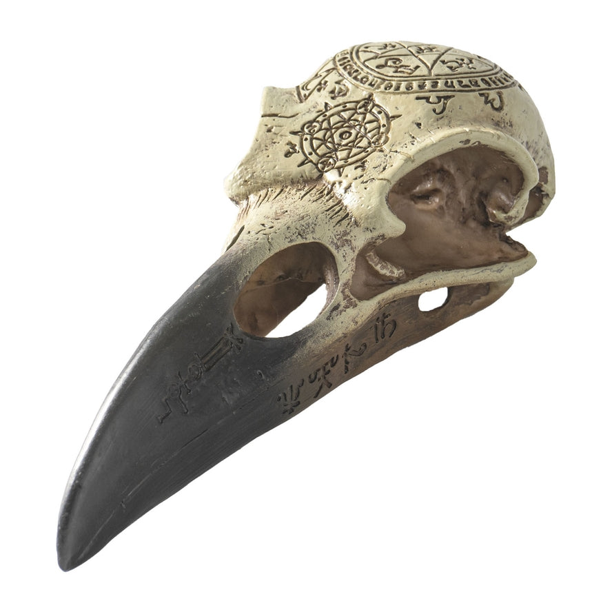 OMEGA RAVEN SKULL