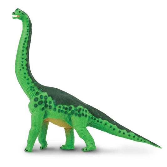 BRACHIOSAURUS