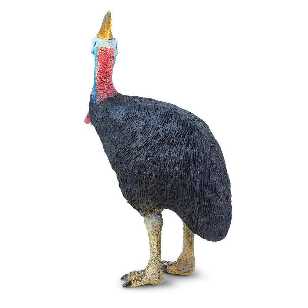 CASSOWARY