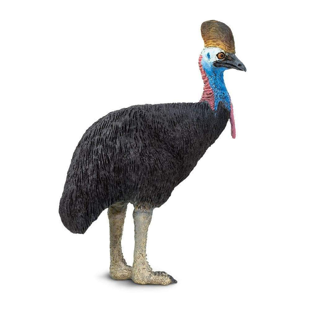 CASSOWARY