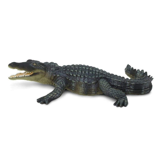 CROCODILE