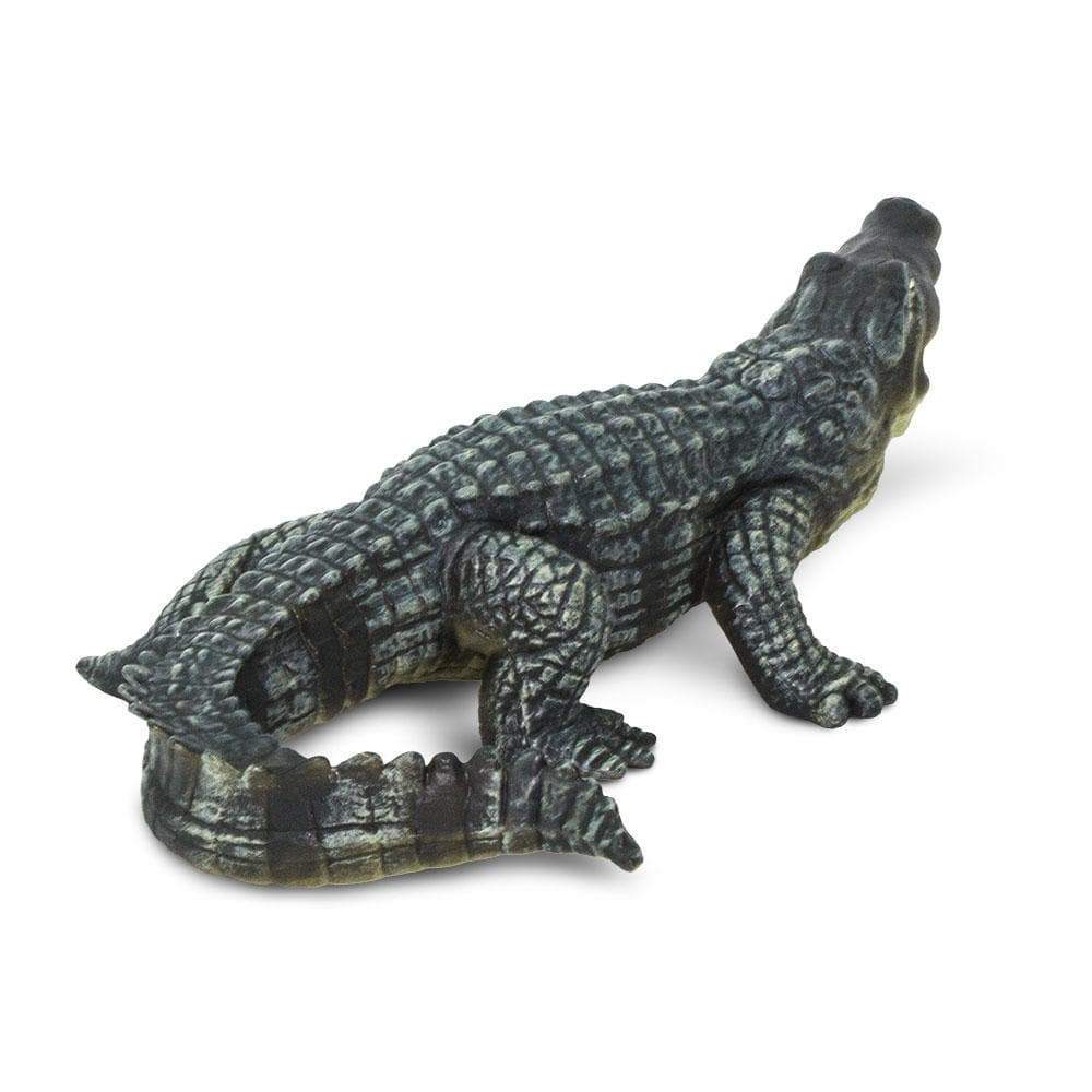 CROCODILE