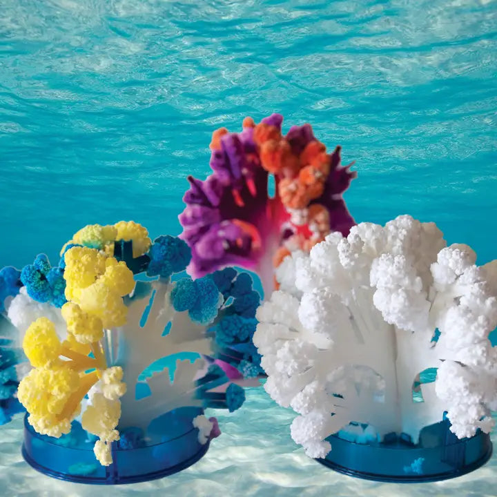 CORAL REEF TERRAFORMING CRYSTAL GROWING KIT