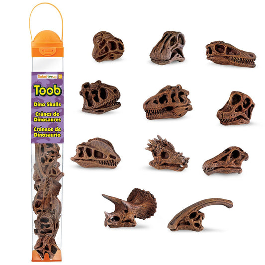 TOOB DINO SKULLS